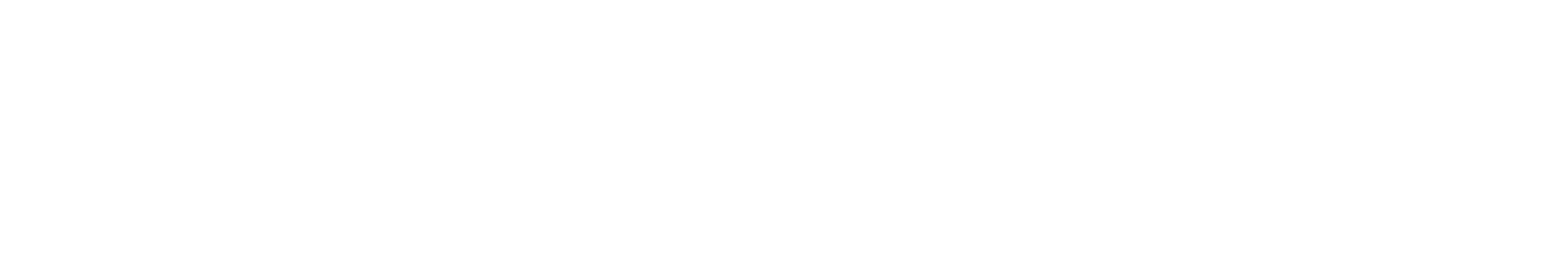 PROTOCOL Policy Logo Transparent White-1