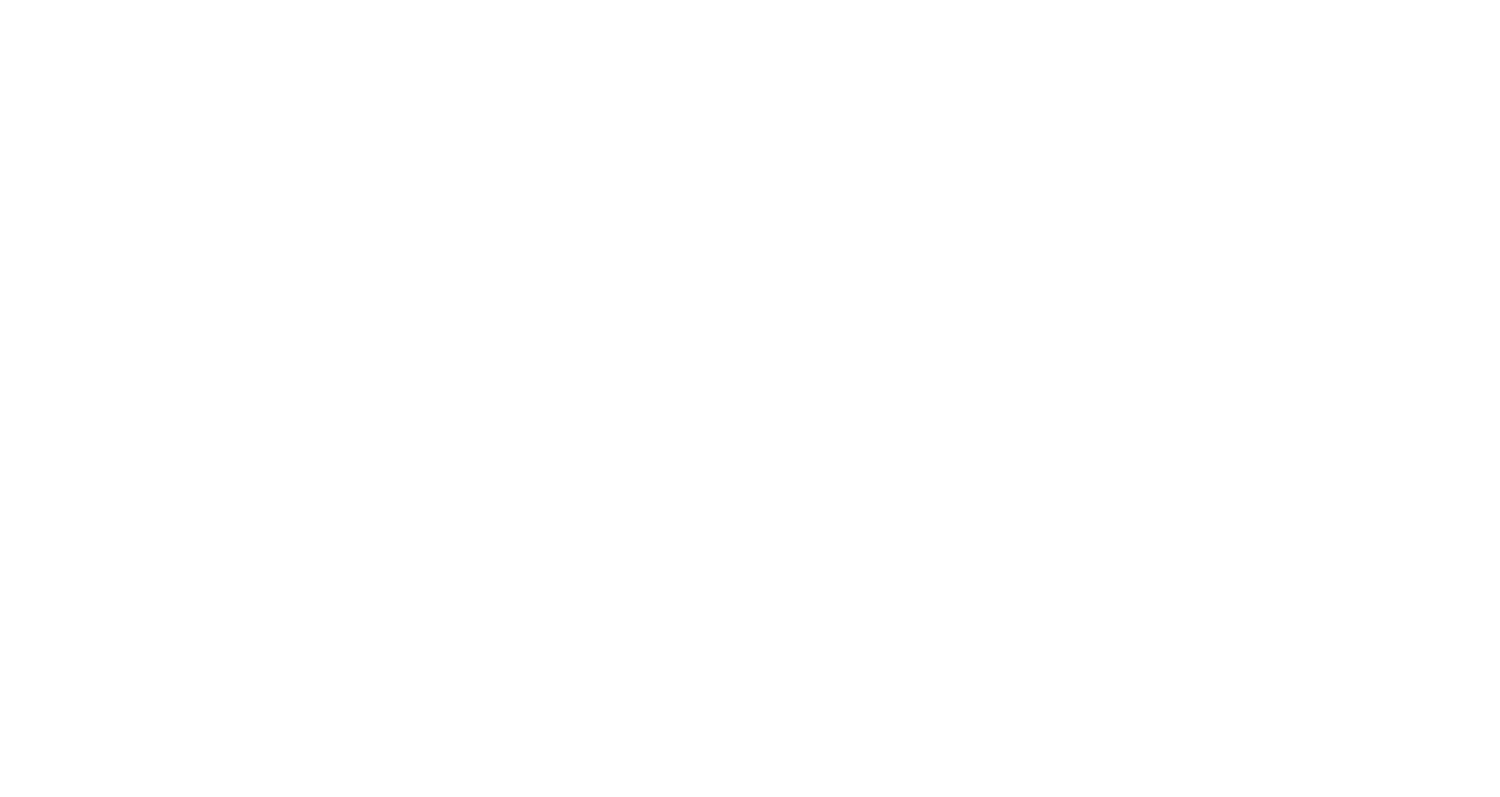 Protocol Policy Systems Logo